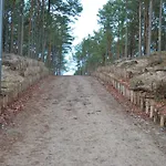 Forest House Sasino-spa Sauna Balia Дом отдыха Сашино