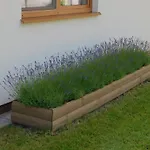 Forest House Sasino-spa Sauna Balia Сашино