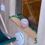 Forest House Sasino-spa Sauna Balia 펜션 사시노