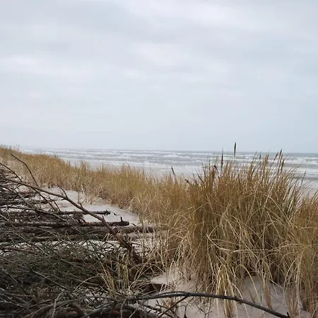 Forest House Sasino-spa Sauna Balia Ferienhaus