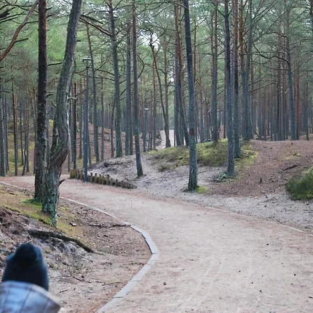 Vakantiehuis Forest House Sasino-spa Sauna Balia Sasino