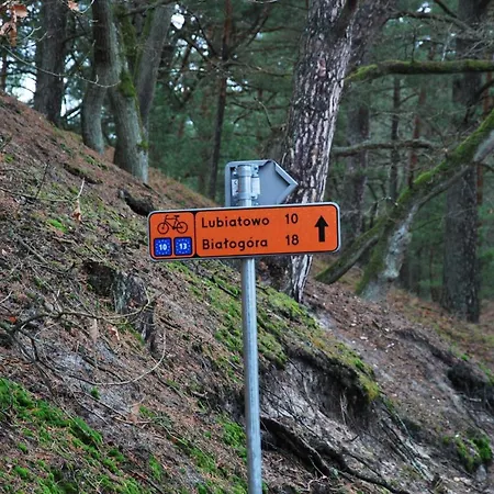 Forest House Sasino-spa Sauna Balia Vakantiehuis Sasino