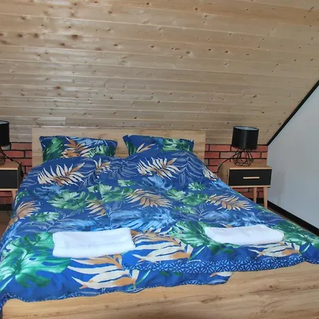 Forest House Sasino-spa Sauna Balia 萨希诺