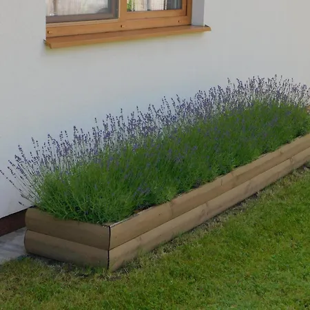 Forest House Sasino-spa Sauna Balia Sasino