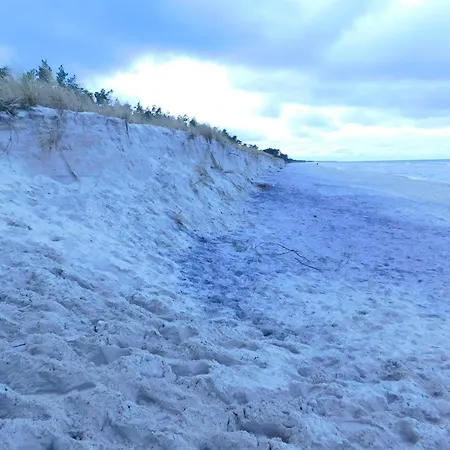 Forest House Sasino-spa Sauna Balia Vakantiehuis