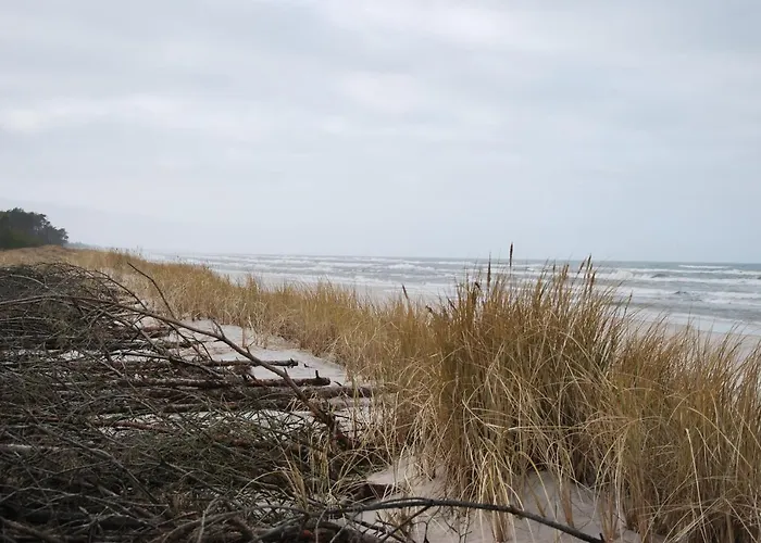 Forest House Sasino-spa Sauna Balia Nyaraló