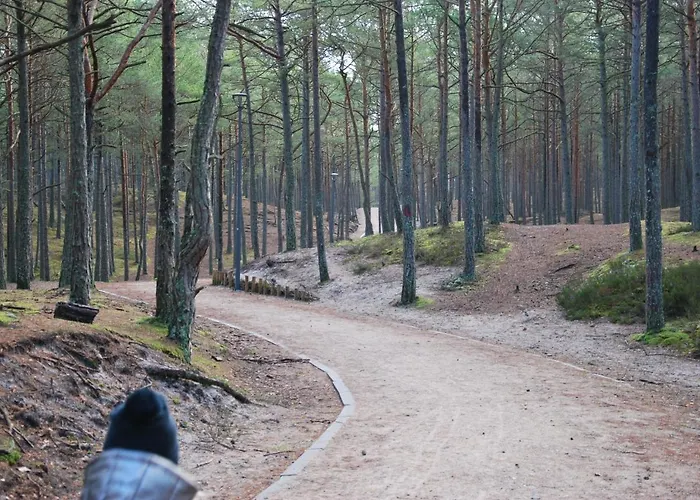 Nyaraló Forest House Sasino-spa Sauna Balia Sasino