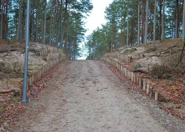 Forest House Sasino-spa Sauna Balia Nyaraló Sasino