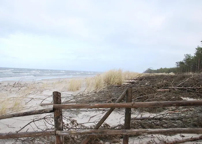 Forest House Sasino-spa Sauna Balia * Sasino