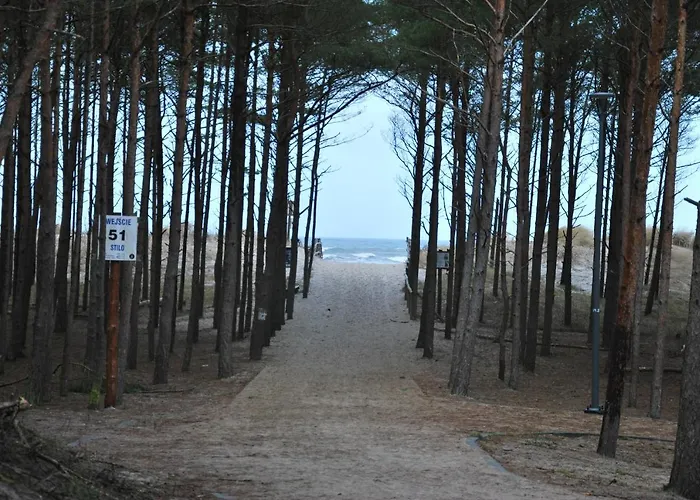 Forest House Sasino-spa Sauna Balia Nyaraló Sasino