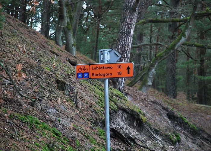 Forest House Sasino-spa Sauna Balia Nyaraló Sasino