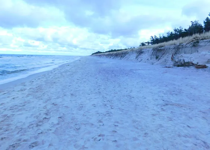 Nyaraló Forest House Sasino-spa Sauna Balia *