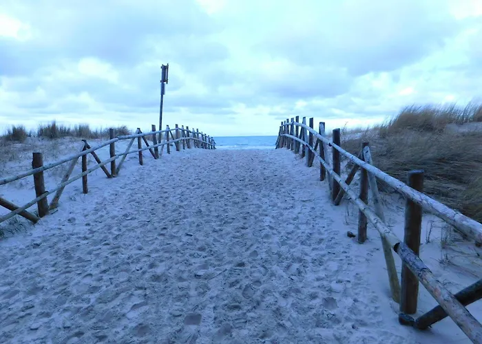 Forest House Sasino-spa Sauna Balia Sasino