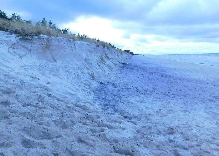 Forest House Sasino-spa Sauna Balia Nyaraló